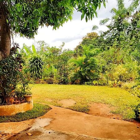 Suisse Villa Kandy Eksteriør bilde