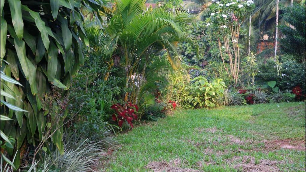 Suisse Villa Kandy Eksteriør bilde