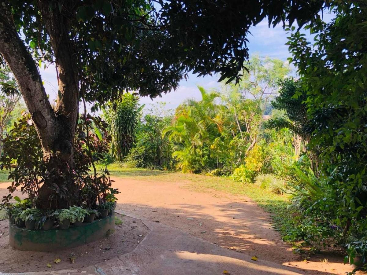Suisse Villa Kandy Eksteriør bilde