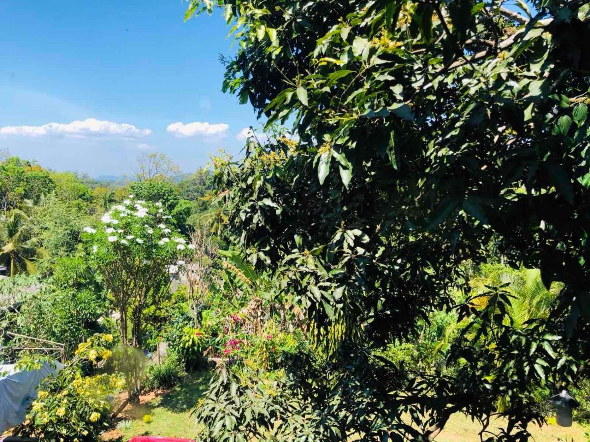 Suisse Villa Kandy Eksteriør bilde